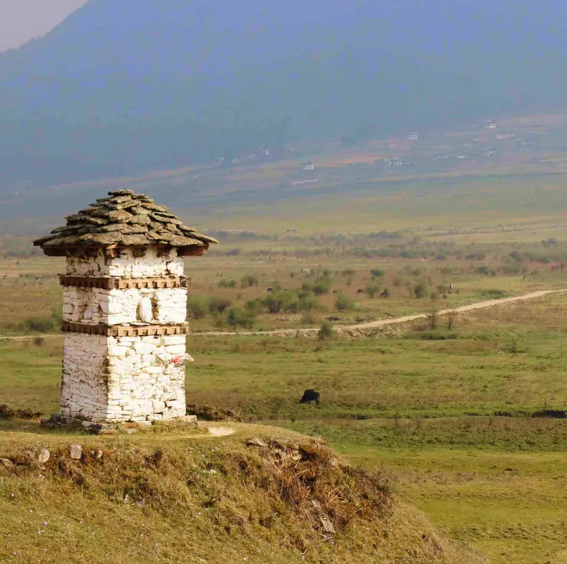 Bhutan_Stupa_Pronab